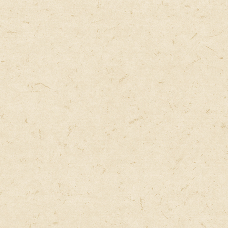 Anti-bacterial at anti-static na magkakaibang sahig