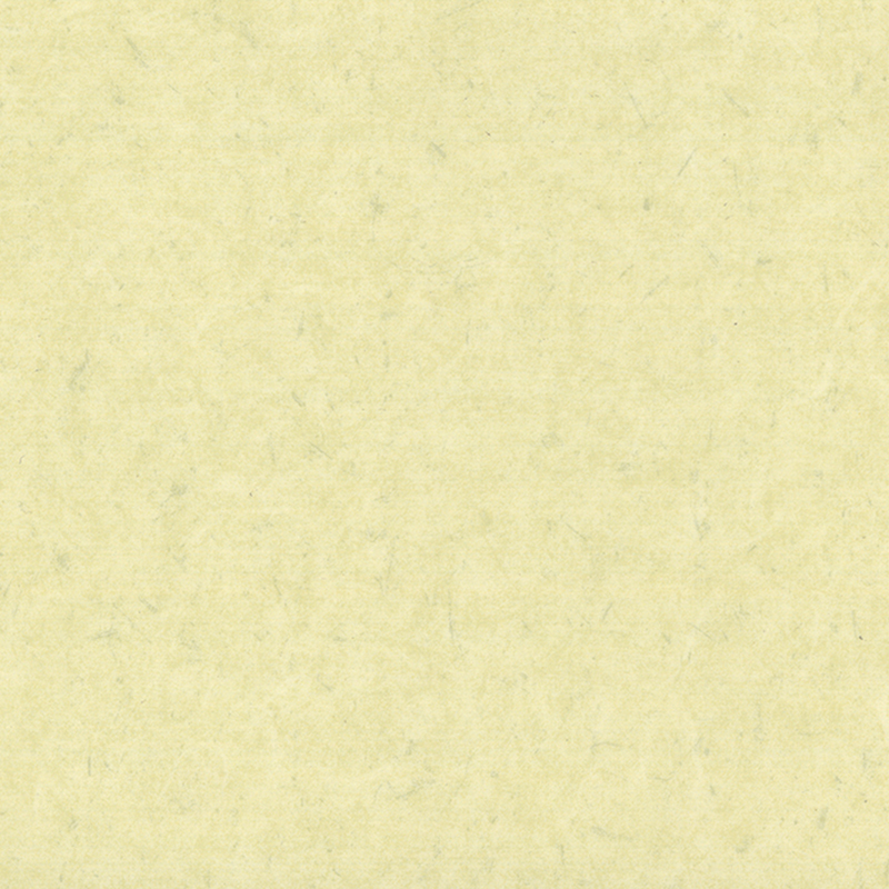 Anti-bacterial at anti-static na magkakaibang sahig