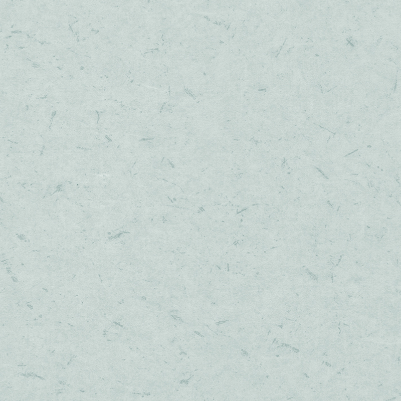 Anti-bacterial at anti-static na magkakaibang sahig