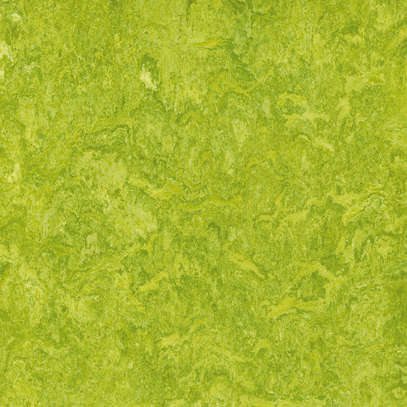 Panlaban sa mantsa at murang magkakaibang sahig