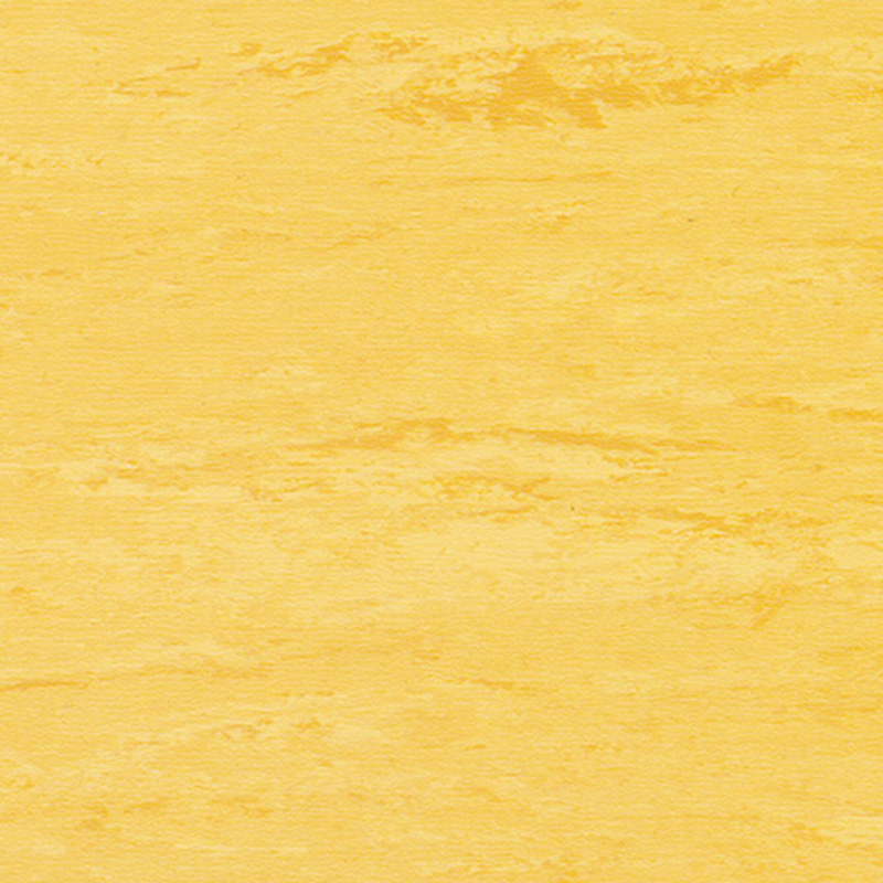 Modernong romansa na homogenous na sahig