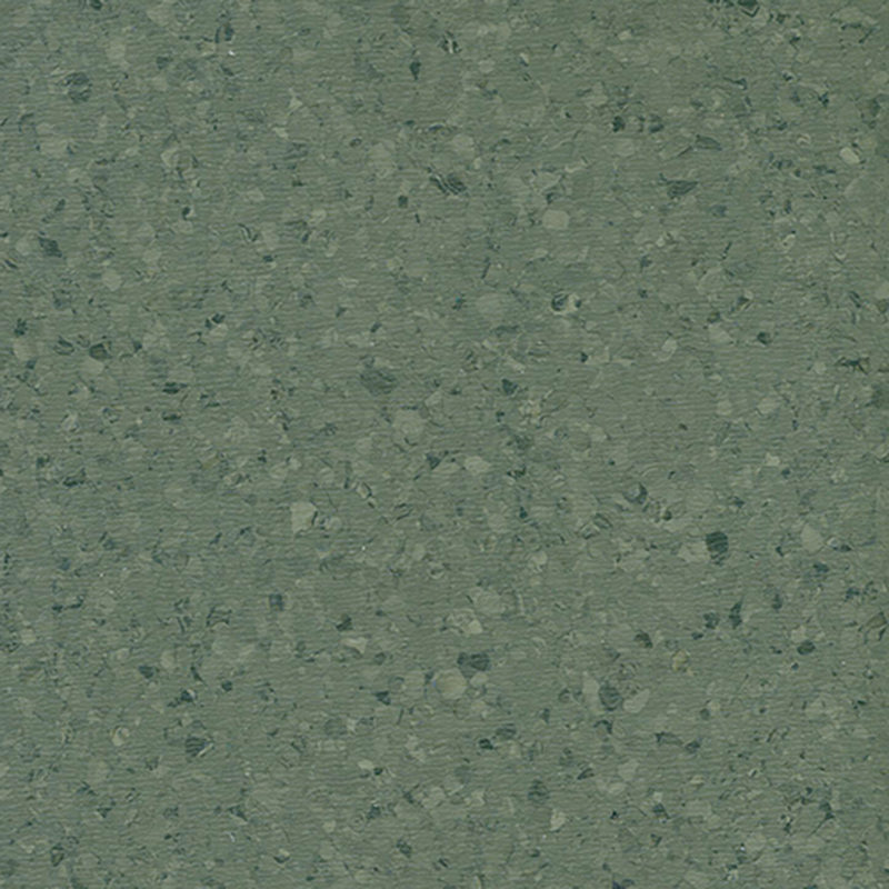 Ekonomiya at mataas na kahusayan homogenous flooring