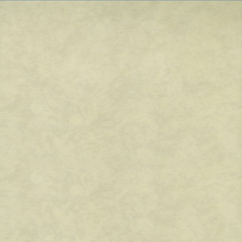 Eco-friendly wear resistance heterogenous flooring