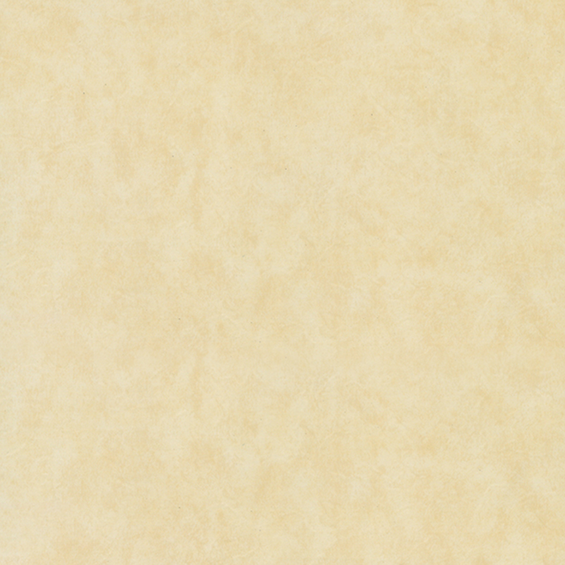 Eco-friendly wear resistance heterogenous flooring