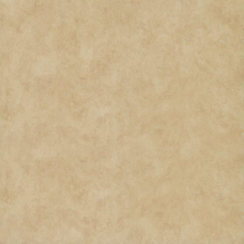 Eco-friendly wear resistance heterogenous flooring