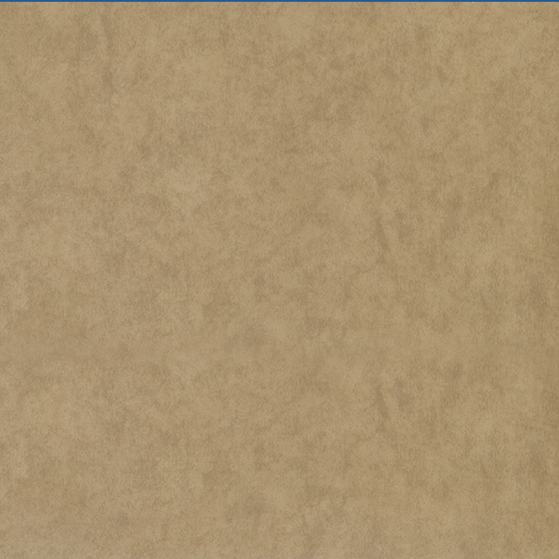 Eco-friendly wear resistance heterogenous flooring