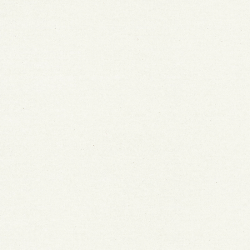 Mataas na kalidad at natatanging kulay homogenous flooring