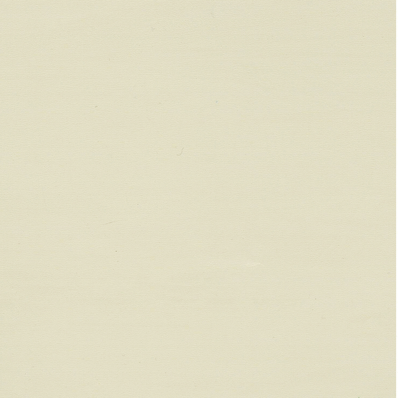 Mataas na kalidad at natatanging kulay homogenous flooring