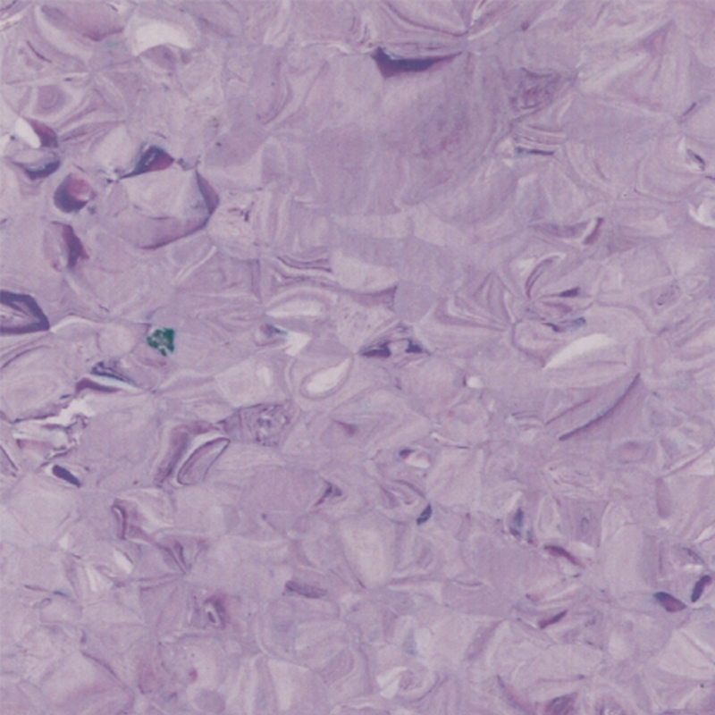 perfectbalance homogenous flooring