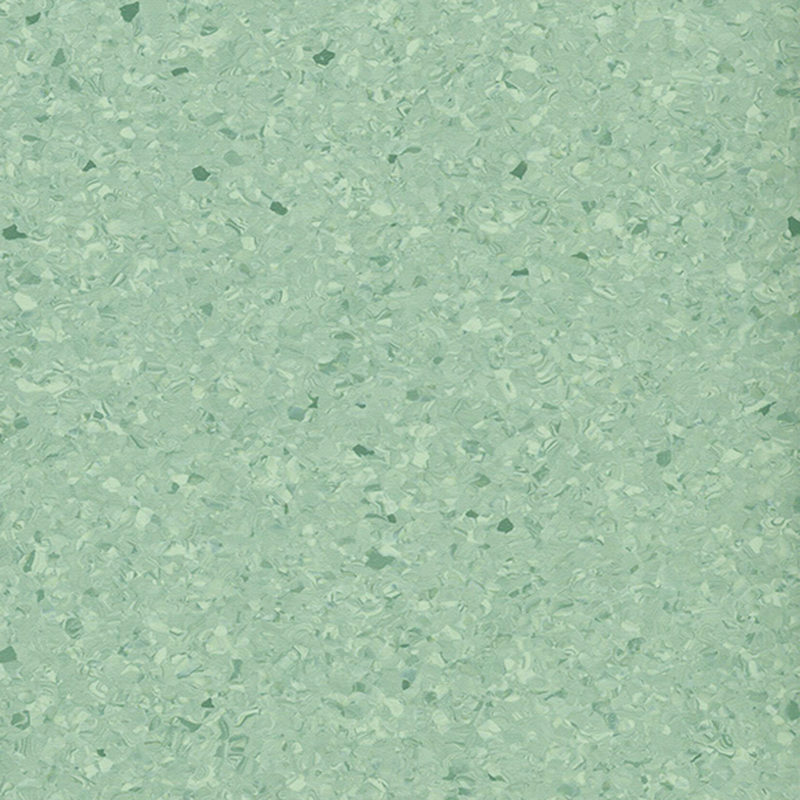 Multicolor homogenous flooring