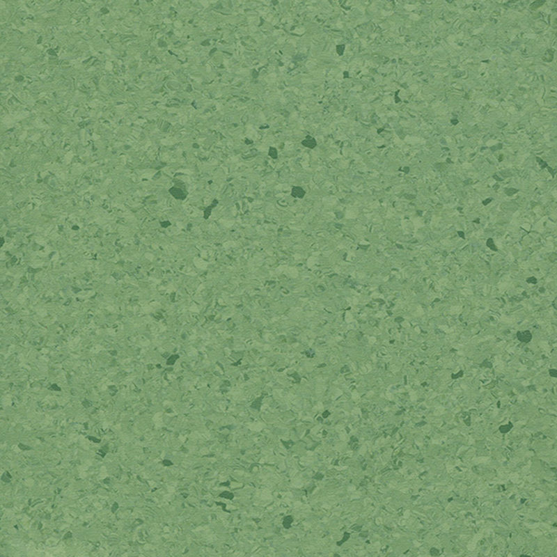 Multicolor homogenous flooring