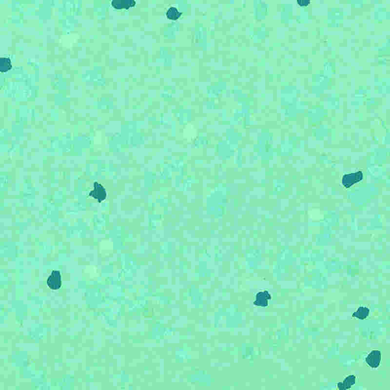 Scratch-proof at high elasticity na rubber flooring