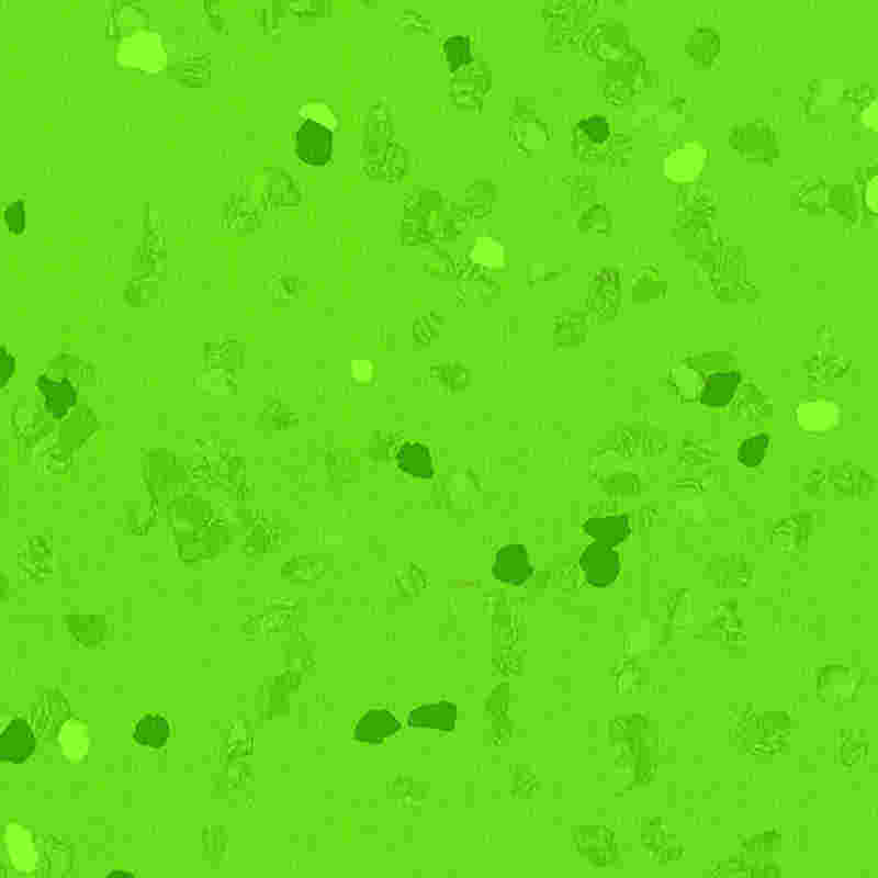 Scratch-proof at high elasticity na rubber flooring