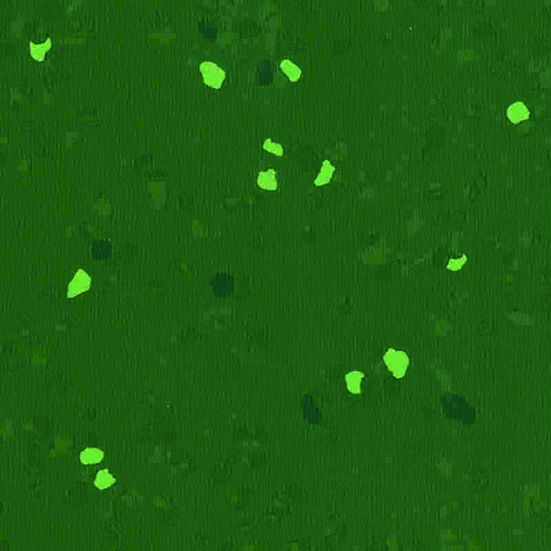 Scratch-proof at high elasticity na rubber flooring