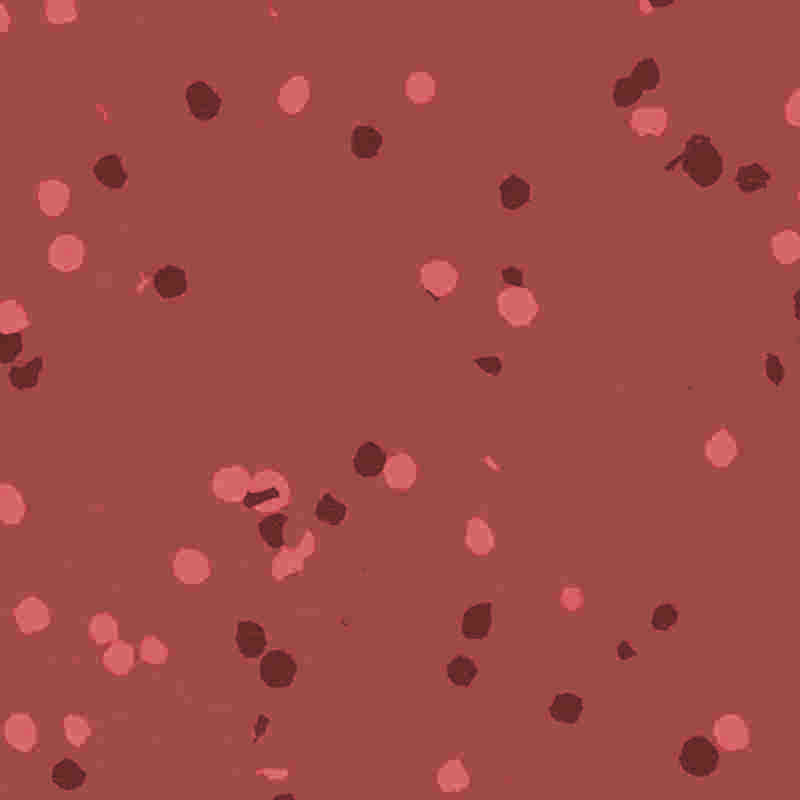 Flame retardant at water-proof na rubber at plastic na sahig