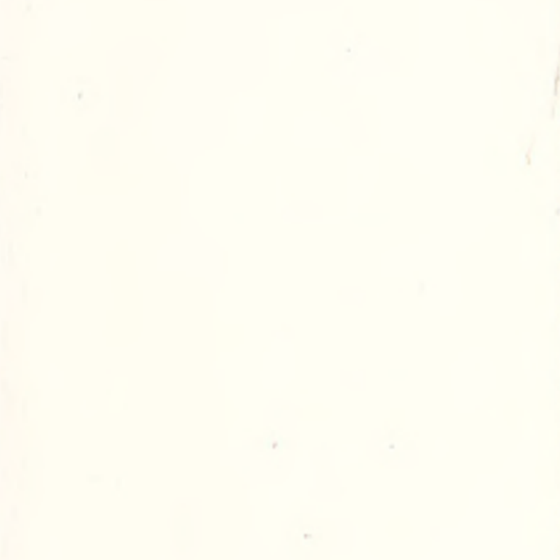 Mataas na kakayahang umangkop at tuluy-tuloy na rubber flooring