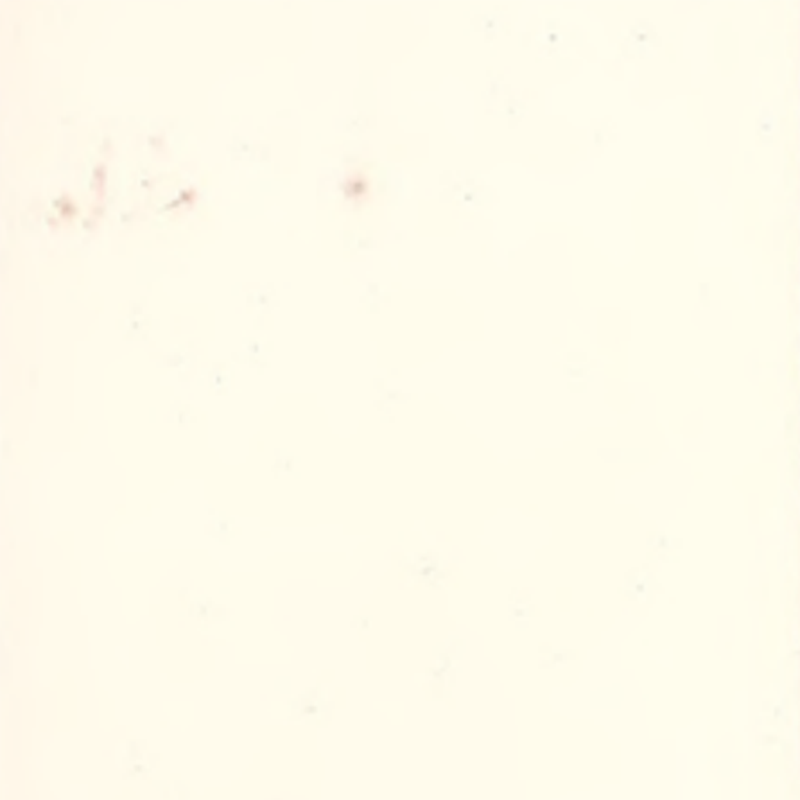 Mataas na kakayahang umangkop at tuluy-tuloy na rubber flooring